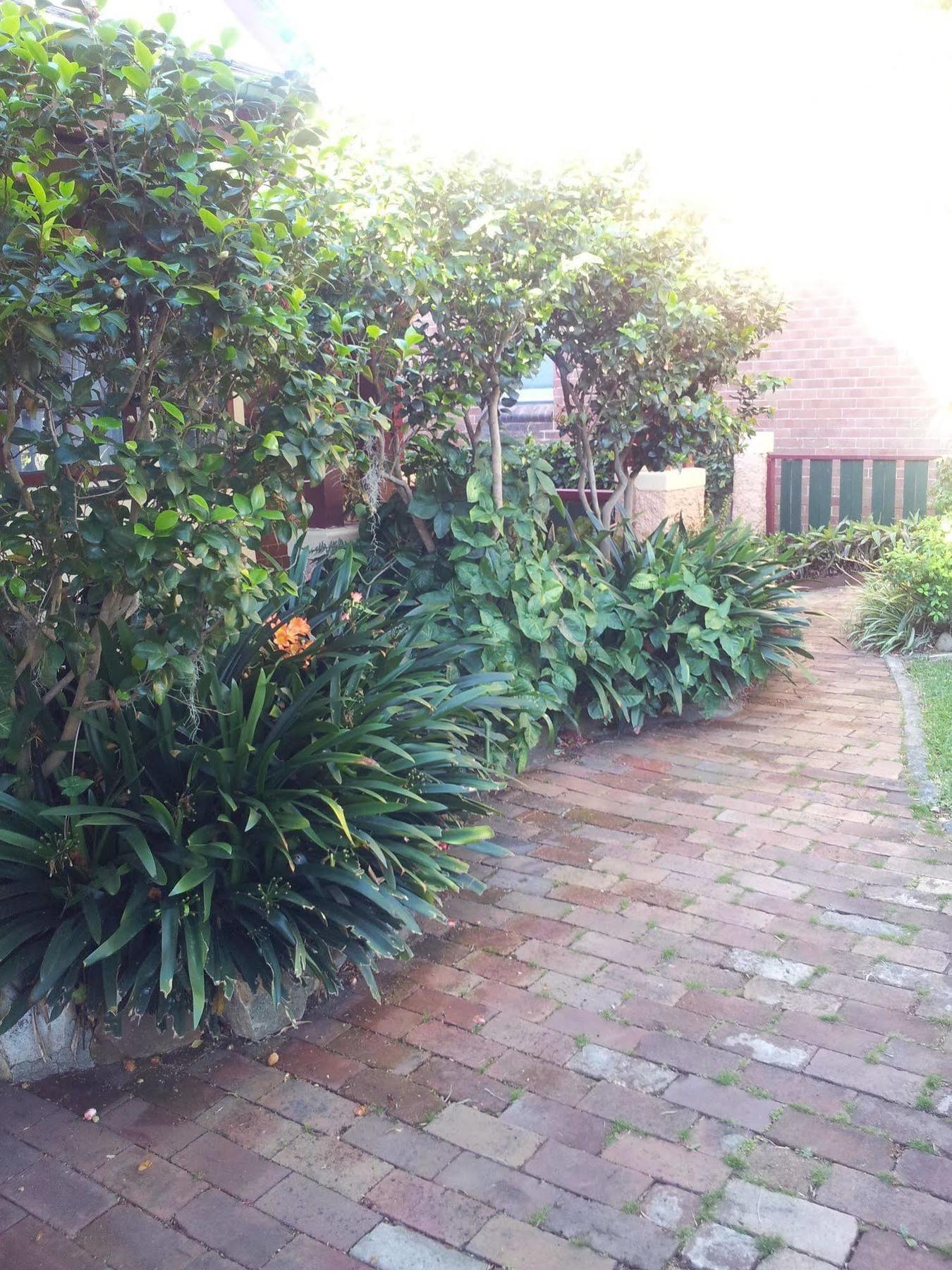 Hamilton Heritage B & B Newcastle Exterior foto